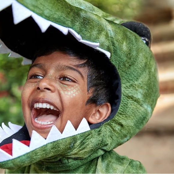 Pottery Barn Kids Dino Costume - Picture 9 of 16